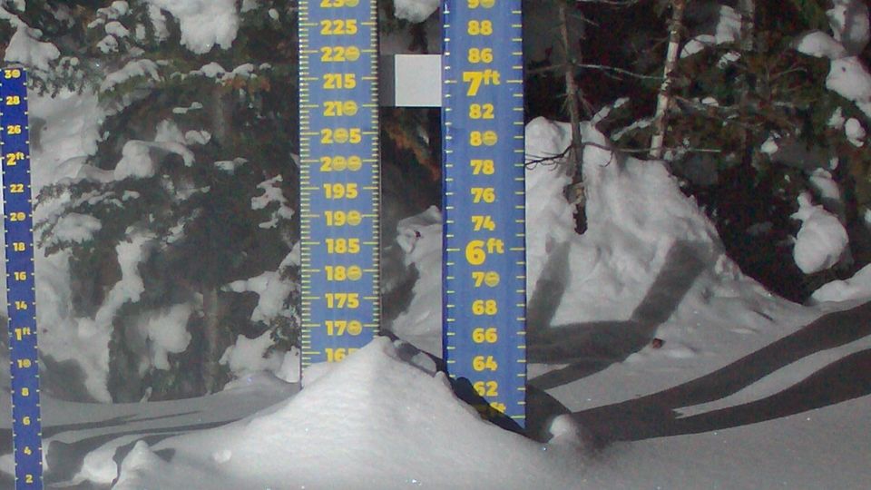 Banff: Wawa Snow Study Plot - Sunshine Village