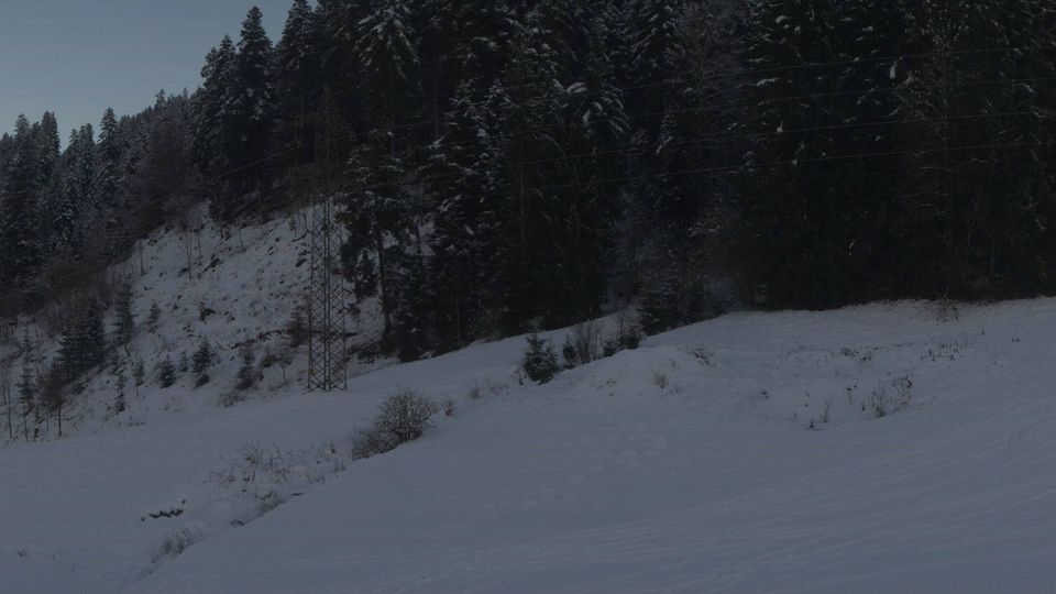 Gemeinde Going am Wilden Kaiser