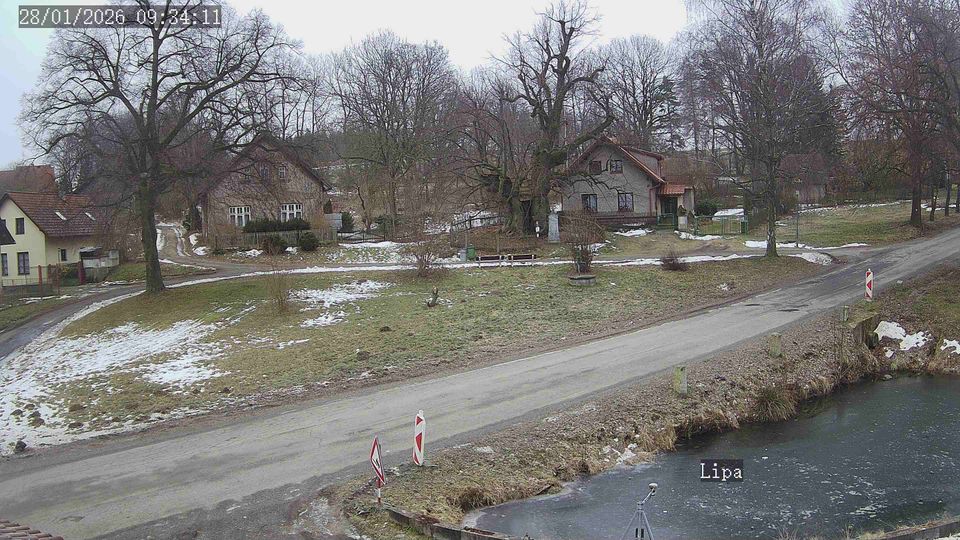 Klokocov › North: The thousand-year-old linden tree