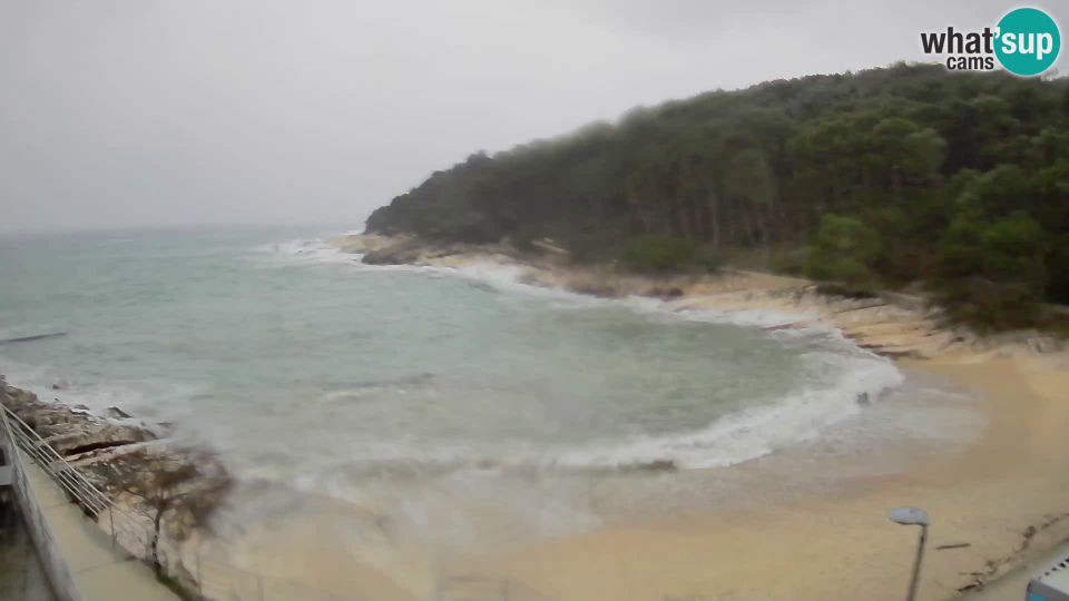 Mali Losinj: beach Veli Žal