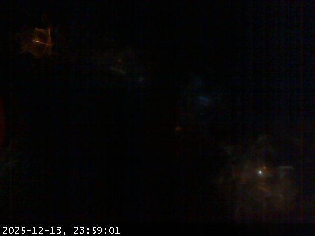 Allumiere › East: veduta del parco faggeto con villini