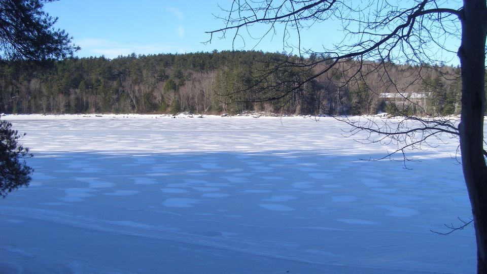 Antrim › South-west: Gregg Lake
