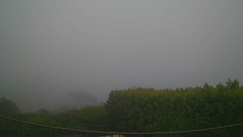 Belvedere › South-west: California, United States