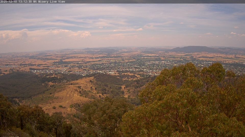 Caerleon › North-east: Mudgee