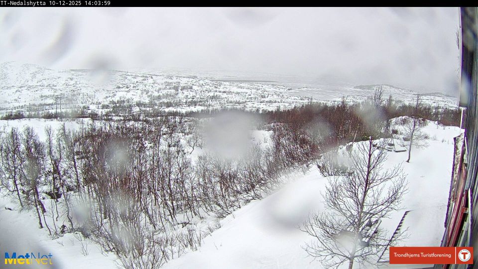 Trøndelag › West: Nesjøen - Skardsfjella