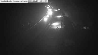 Vallda › South: Sandsjöbacka faunabro söderut