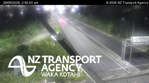 Maungakiekie-Tāmaki: Mount Wellington › East: SH20 Queenstown Rd