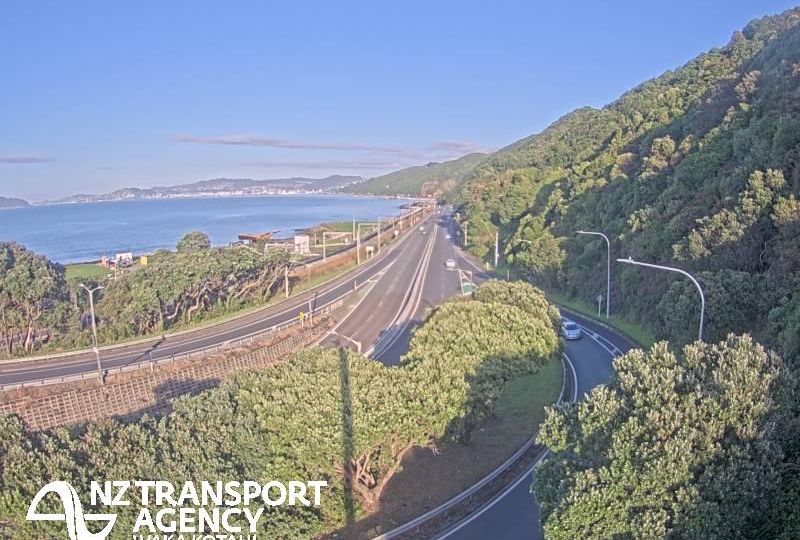Lower Hutt › South: SH2 Petone