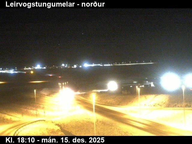 Reykjavik: Leirvogstungumelar