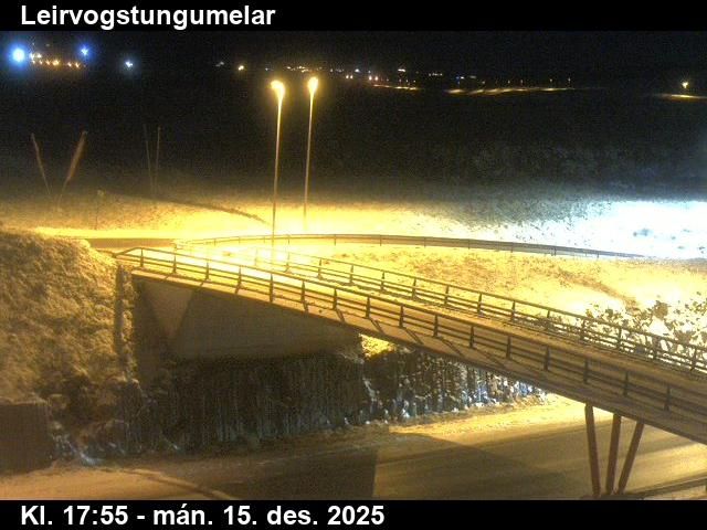 Reykjavik: Leirvogstungumelar