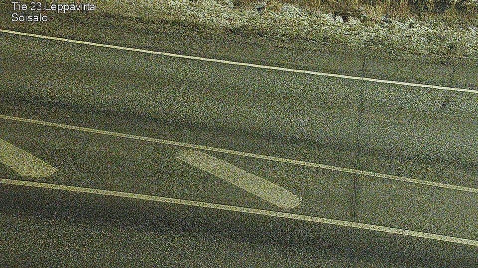 Леппявирта