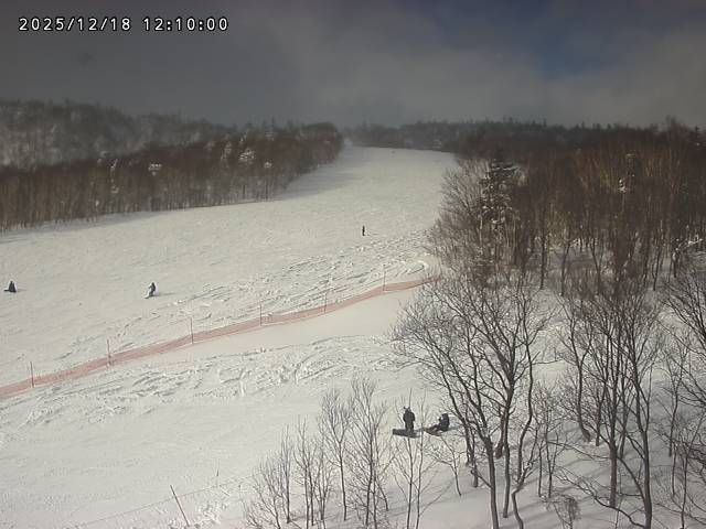 Minami Ward: sapporo kokusai