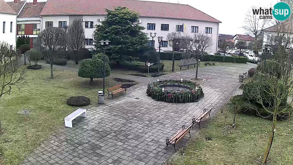 Donji Miklous: Čazma - Čazmanskog Kaptola square