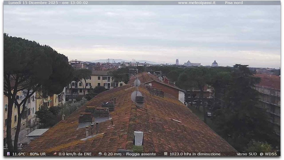 Pisa › South: Toscana, Italia: PANORAMA con vista in lontananza Torre Duomo e Battistero di