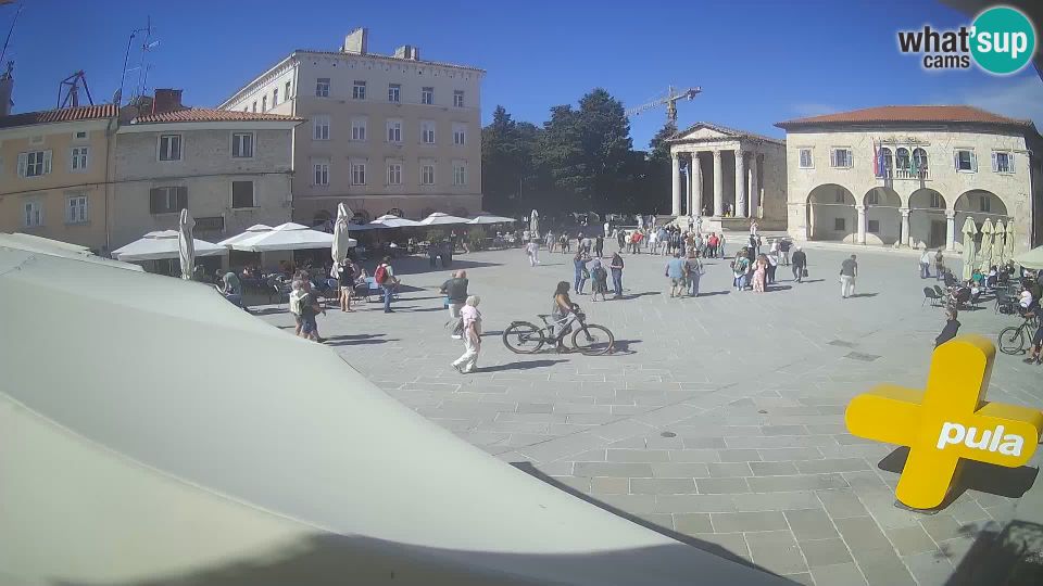 Pula