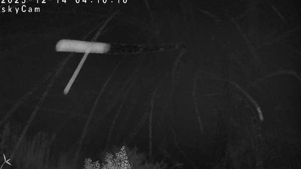 Bad Bergzabern › South-west: Bergzabern - Rheinland-Pfalz, Deutschland