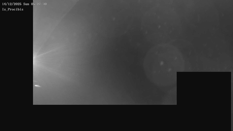 Biddobrana: Sardegna, Italia: "Is Procibis