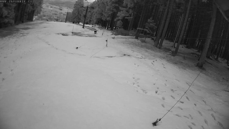 Javornik › South-east: na Šumavě