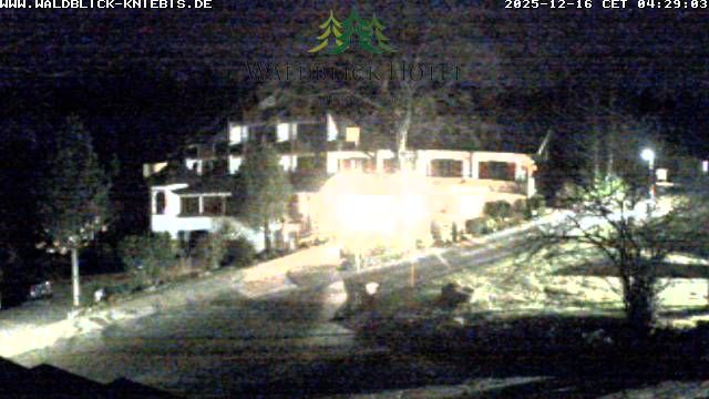 Kniebis › West: Waldblick