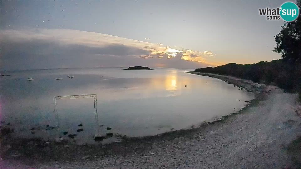 Crnibek: Camping Mon Perin - Bale