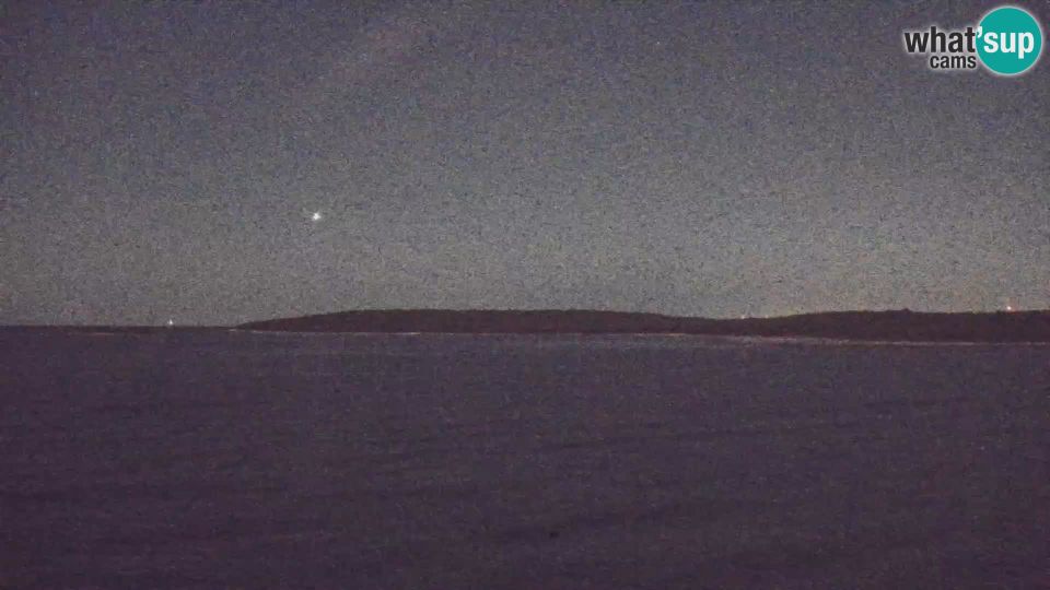 Crnibek