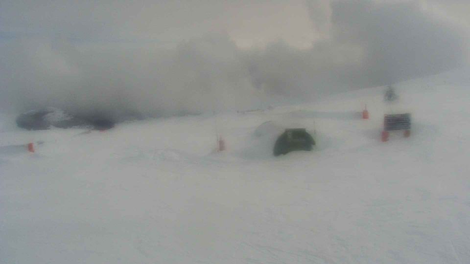 la Molina: Alabaus, La Molina