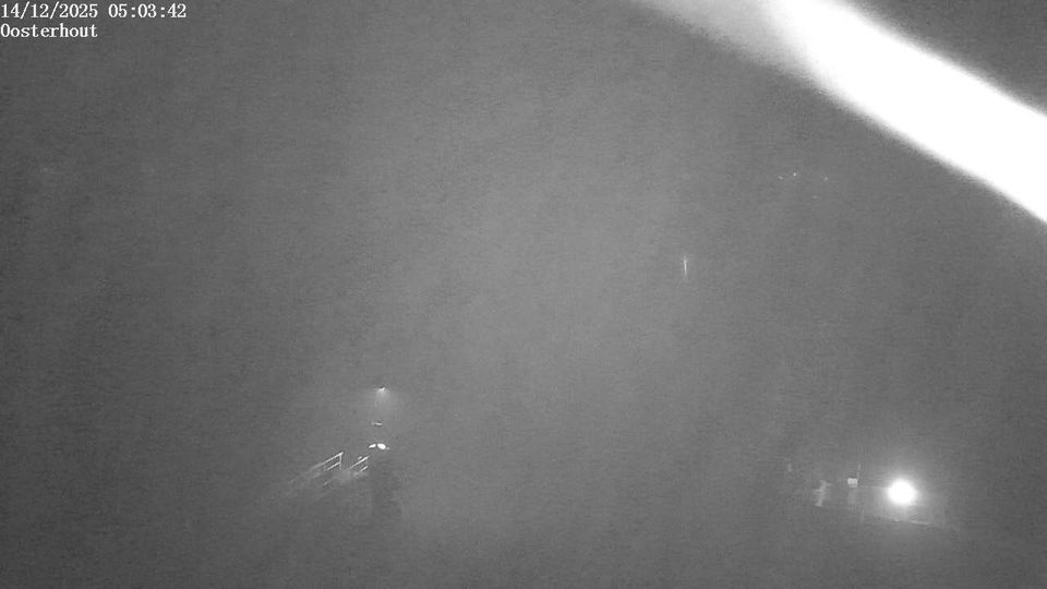 Oosterhout › South-east: Wilhelminakanaal Noord