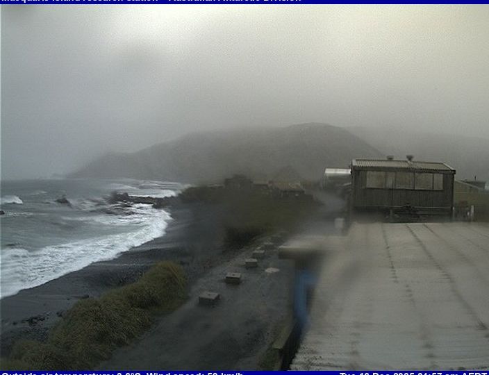 Macquarie Island Station › South-west: Australian Antarctic Division