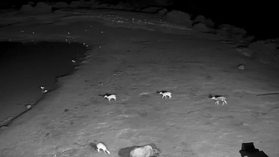 Nyeri: Aberdare Range, Kenya