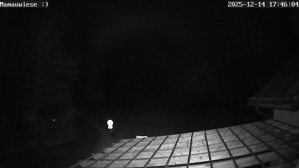 Gemeinde Puchberg am Schneeberg: Berggasthof Mamauwiese