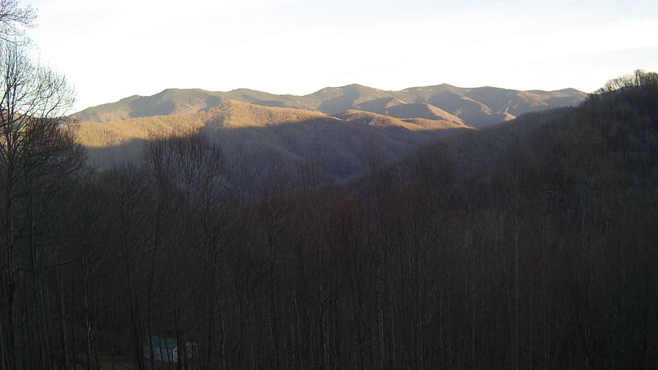 Pensacola › South-east: North Carolina, United States: Black Mountains, North Carolina