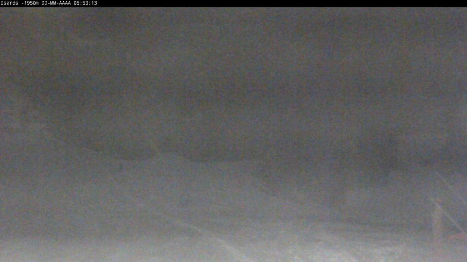 Alp: Masella - Catalonia, Spain: Isards 1950