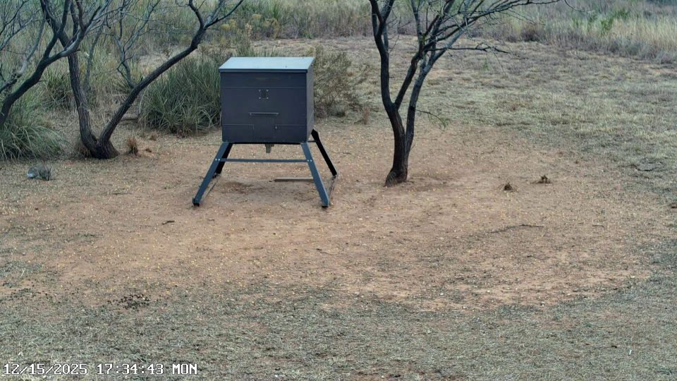 Justiceburg › South: Lake Alan Henry - Texas, United States