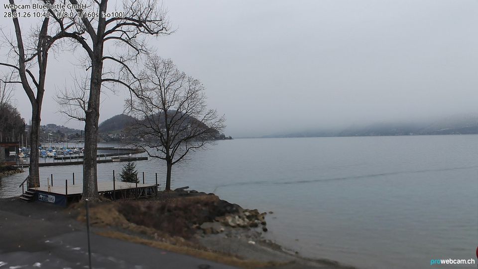 Faulensee: Bern, Schweiz: Thunersee