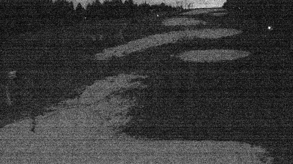 Sankt Englmar › South-east: Markbuchen - Bayern, Deutschland