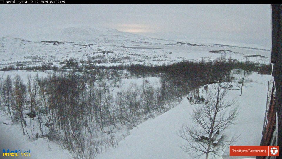 Trøndelag: Nesjøen