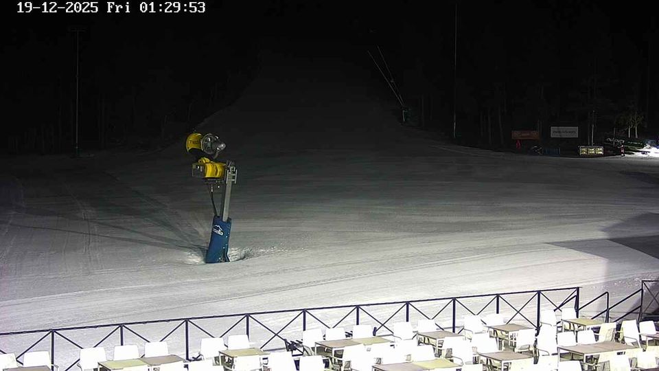 Alp: La Massella - Cataluña, España: Pla de Masella - 1600m
