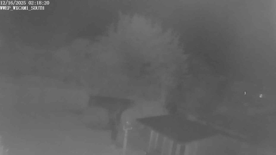 East Preston › South-west: England, United Kingdom