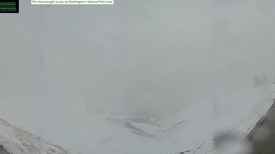 Clallam › South-west: Hurricane Hill - Mount Olympus