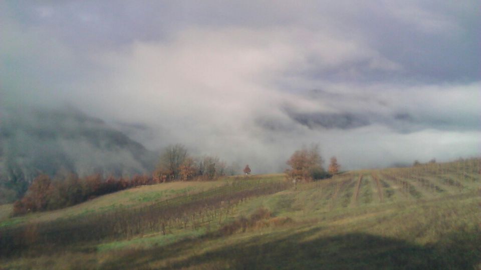 Cantalupo Ligure › West: Piemonte, Italia