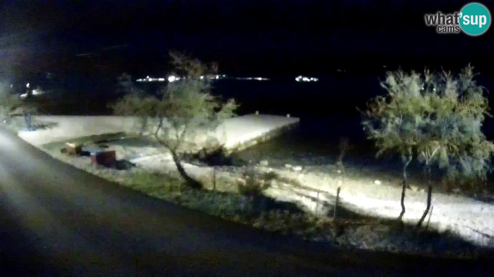 Viganj: Live Webcam - Pelješac - view from Antony-Boy Autocamp