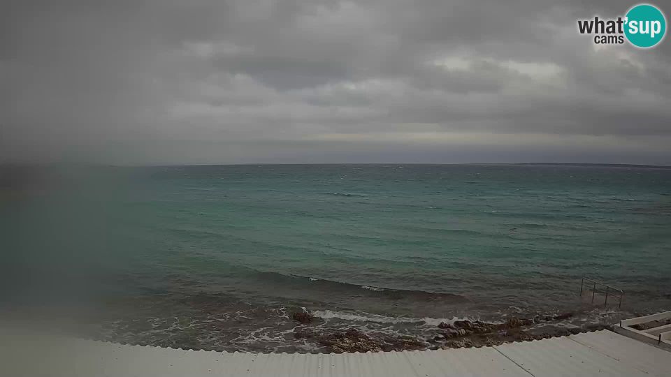 Silba: Beach Sotorisce