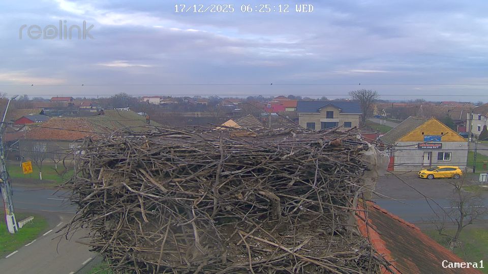 Carpinis › North: Cărpiniş - Timiş, Rumanía