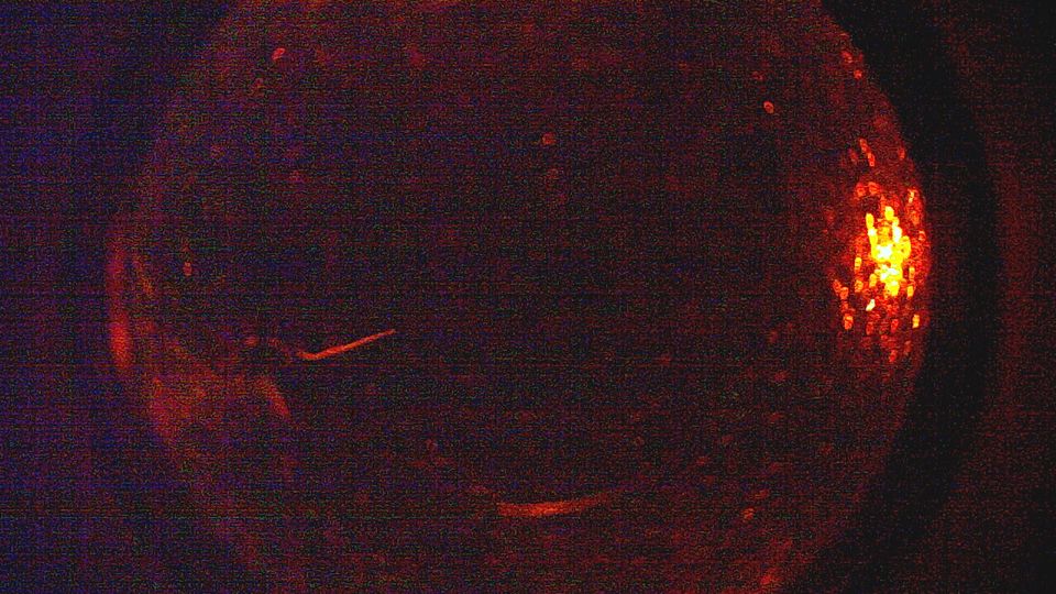 Freiburg im Breisgau: Baden-Württemberg, Germany