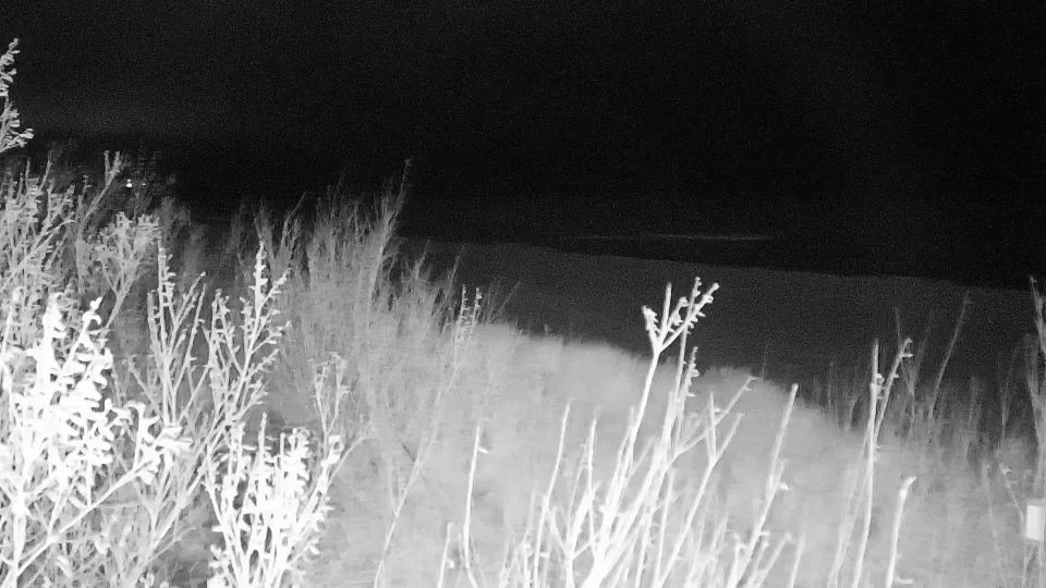 Wladyslawowo: Szotland: Władysławowo - Województwo pomorskie, Rzeczpospolita Polska: Beach