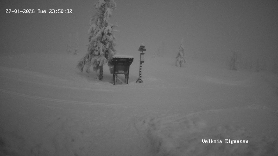 Kuasen › South-east: Elgåsen - Hedmark fylke, Norge