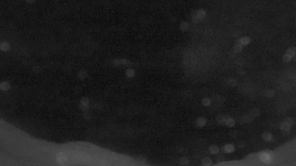 Mykines › West: Mykines Hólmur Lighthouse