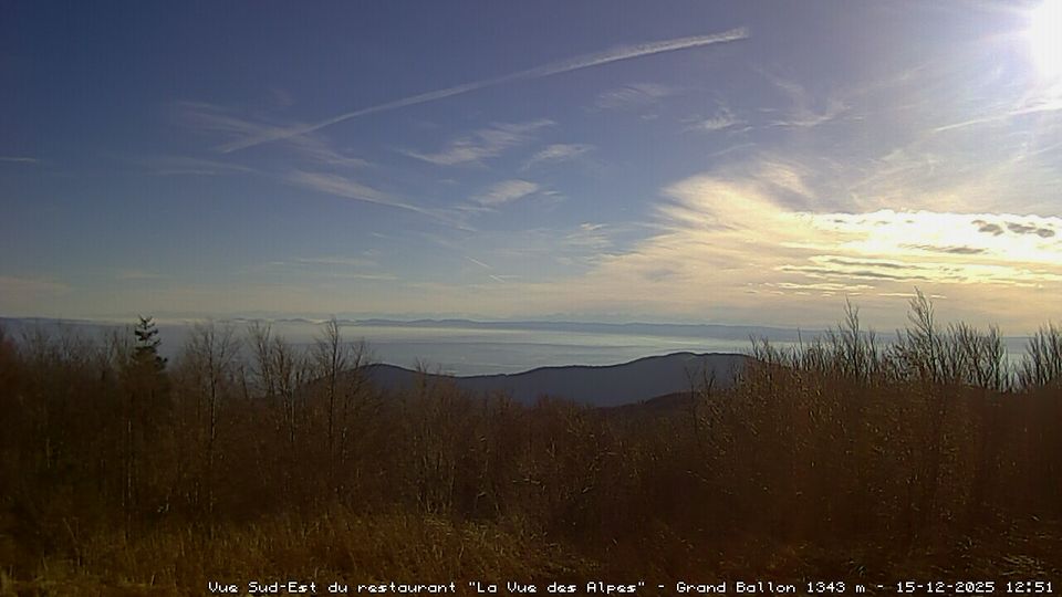 Geishouse: Grand Ballon