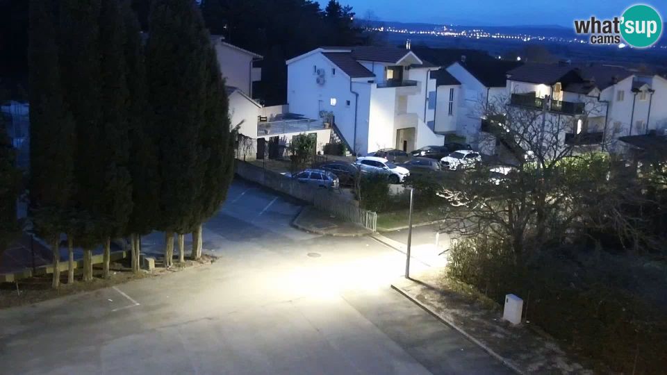 Suhac: Otok, Dalmacija