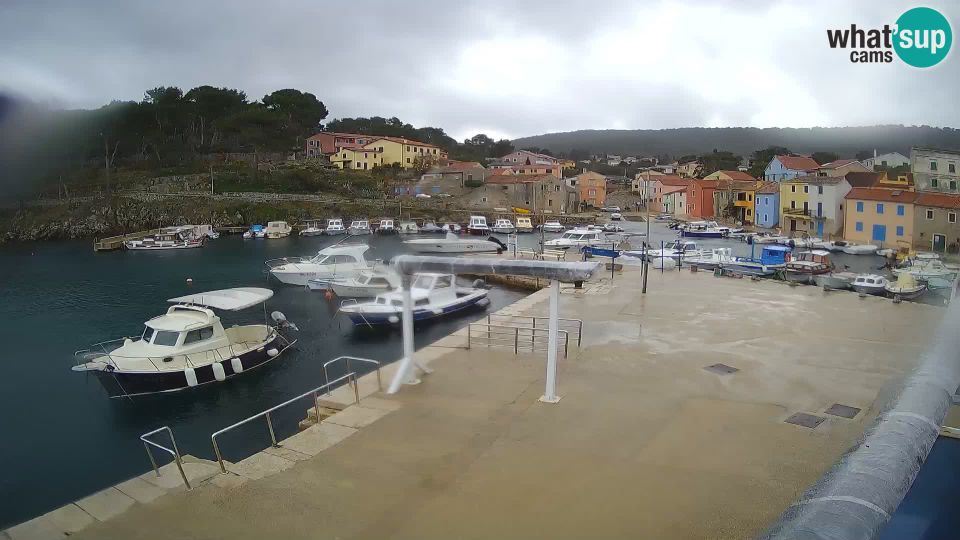 Rovenska: Webcam - Veli Lošinj